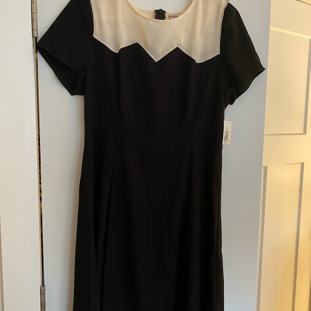 Charming Charlie Black Dress